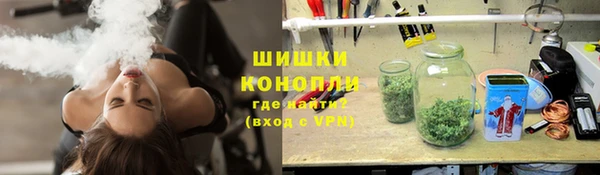 соль ск Арсеньев