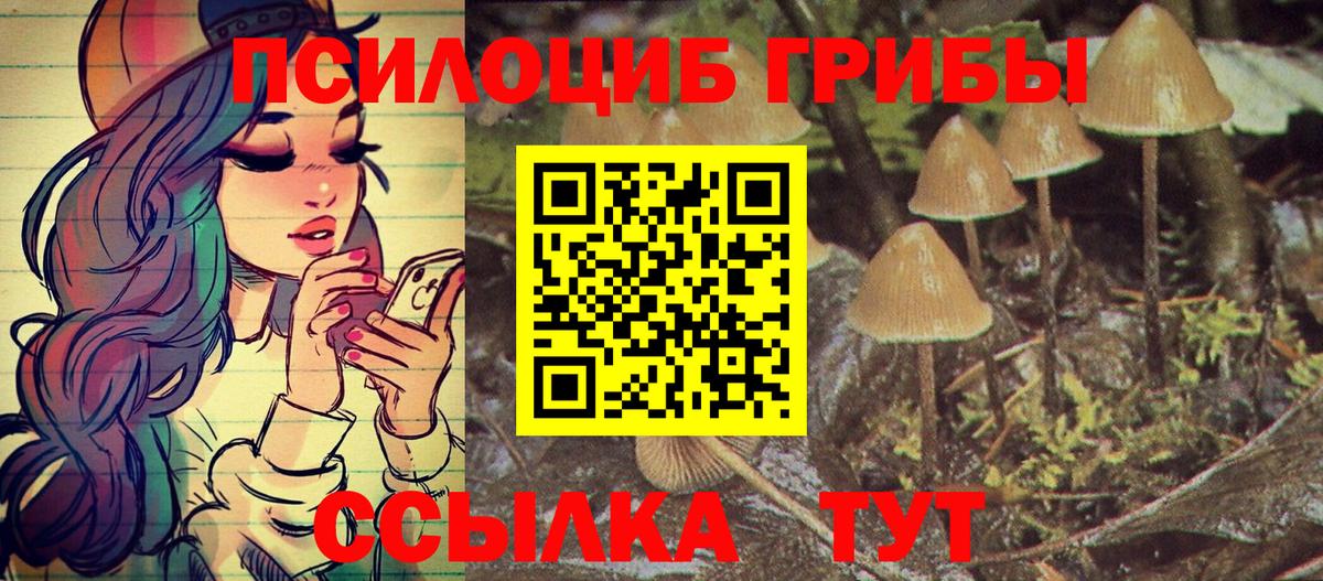 Галлюциногенные грибы мицелий  Псилоцибиновые грибы Psilocybe  Вход с VPN  Краснотурьинск 